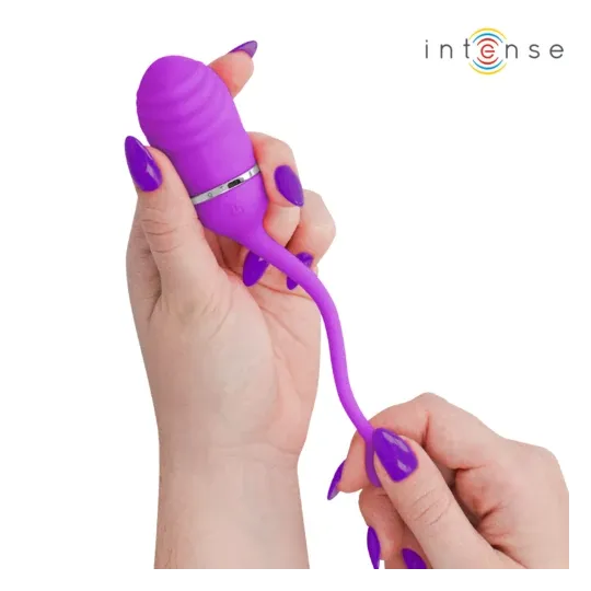 D-245693 INTENSE REMOTE CONTROL