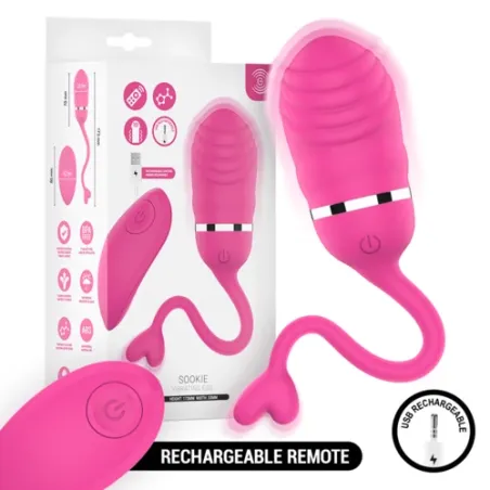D-245694 INTENSE REMOTE CONTROL