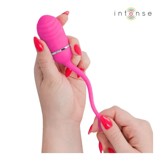 D-245694 INTENSE REMOTE CONTROL