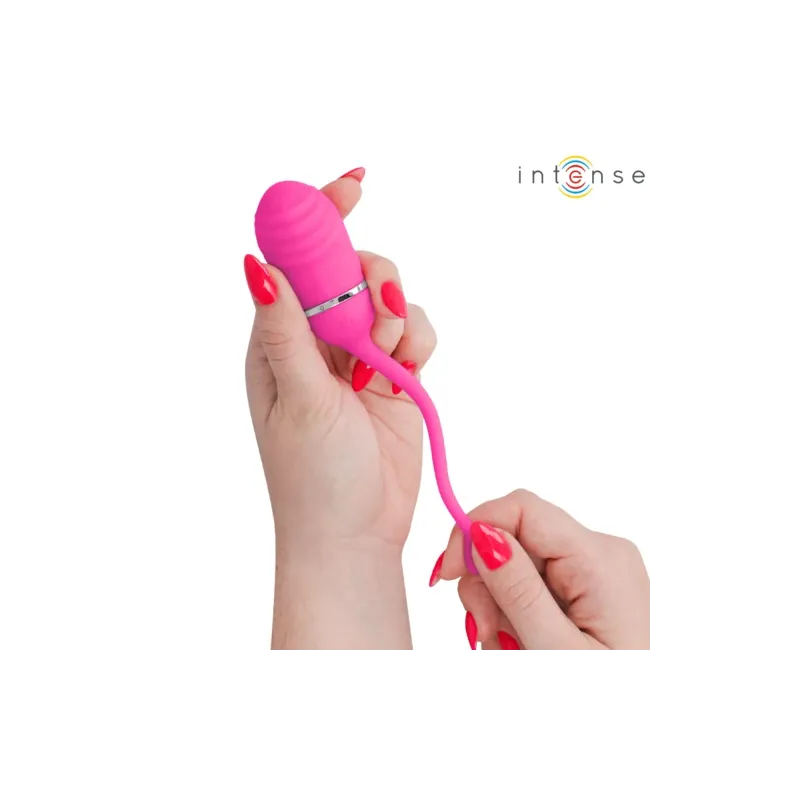 D-245694 INTENSE REMOTE CONTROL