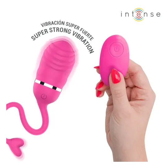 D-245694 INTENSE REMOTE CONTROL