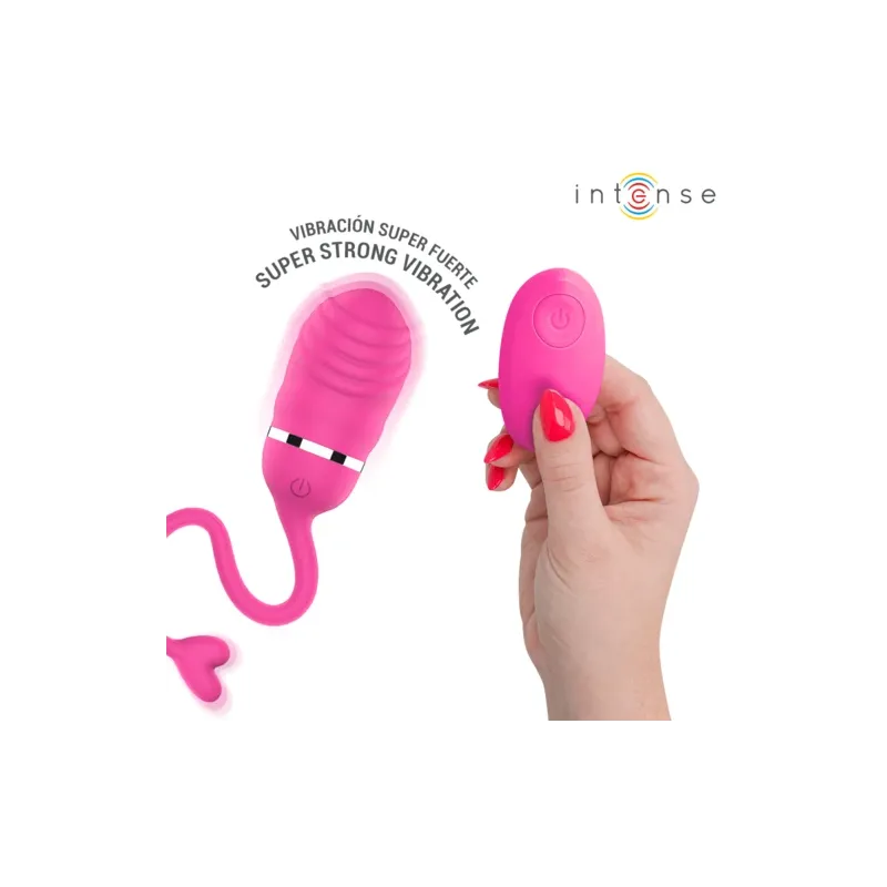 D-245694 INTENSE REMOTE CONTROL