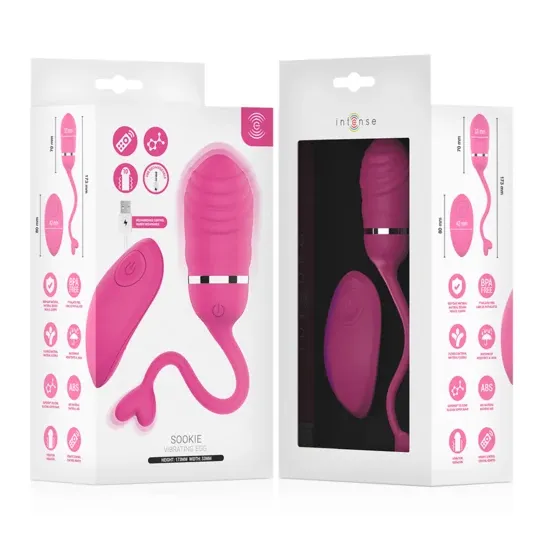 D-245694 INTENSE REMOTE CONTROL