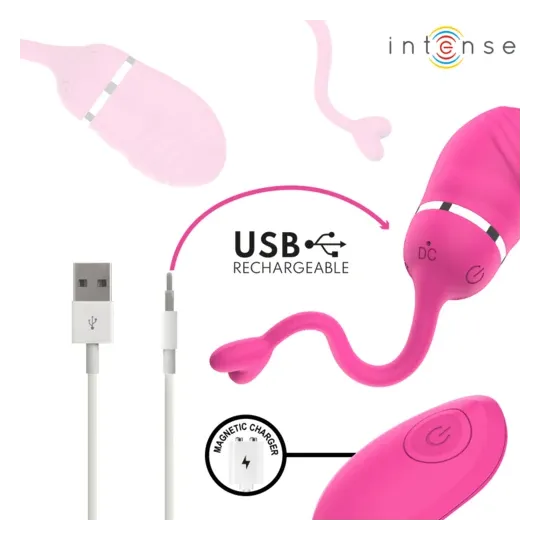 D-245694 INTENSE REMOTE CONTROL
