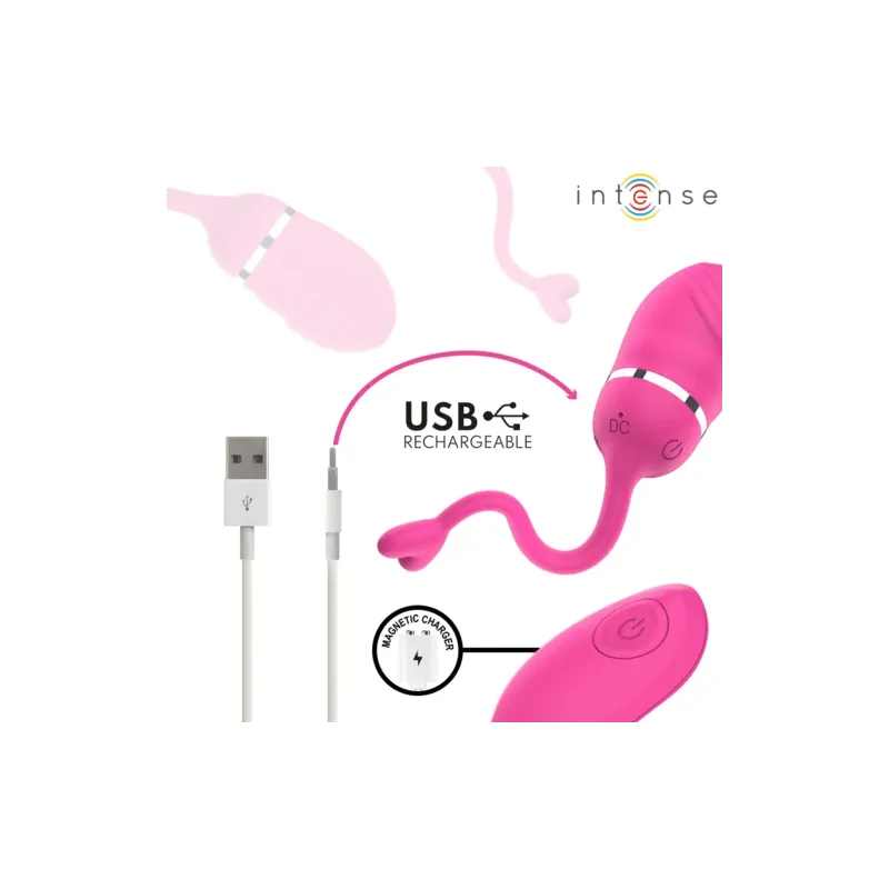 D-245694 INTENSE REMOTE CONTROL