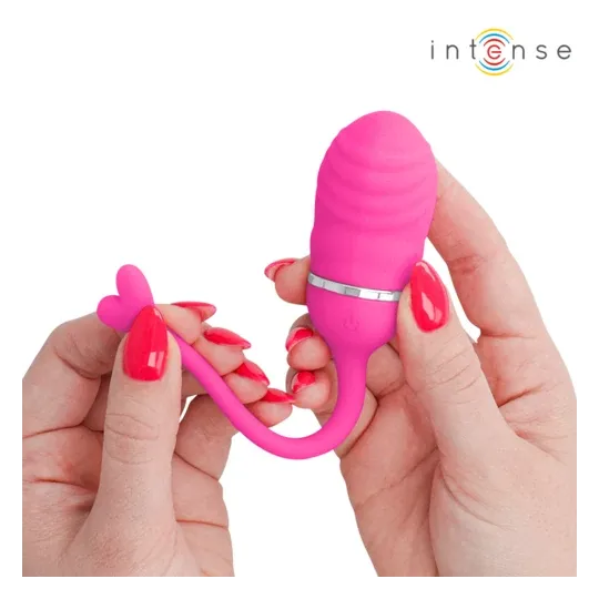 D-245694 INTENSE REMOTE CONTROL