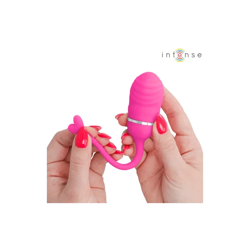 D-245694 INTENSE REMOTE CONTROL