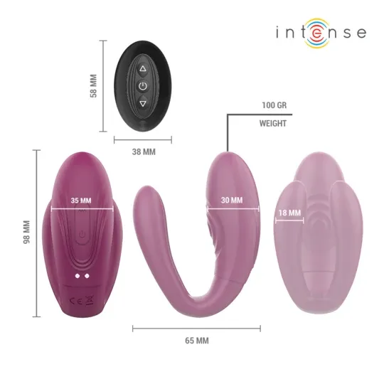 D-244819 INTENSE REMOTE CONTROL