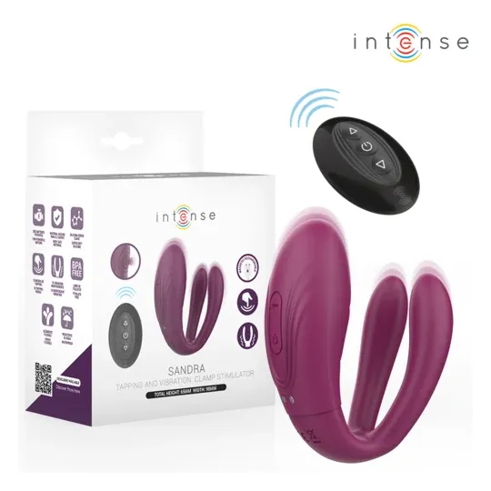 D-244819 INTENSE REMOTE CONTROL