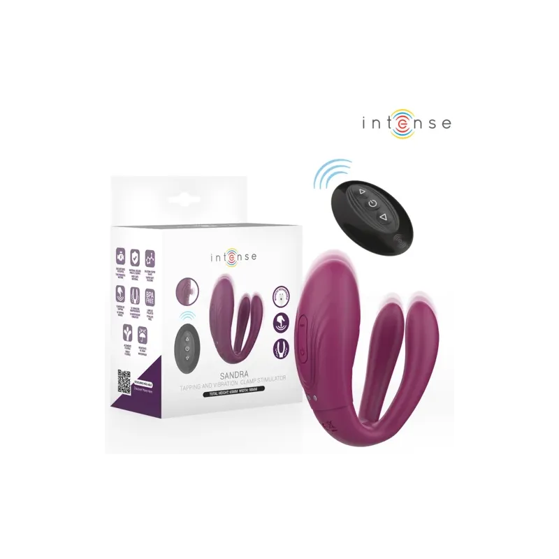 D-244819 INTENSE REMOTE CONTROL