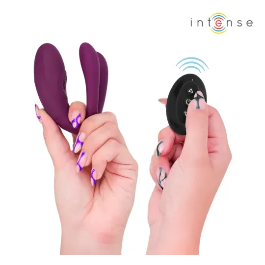 D-244819 INTENSE REMOTE CONTROL