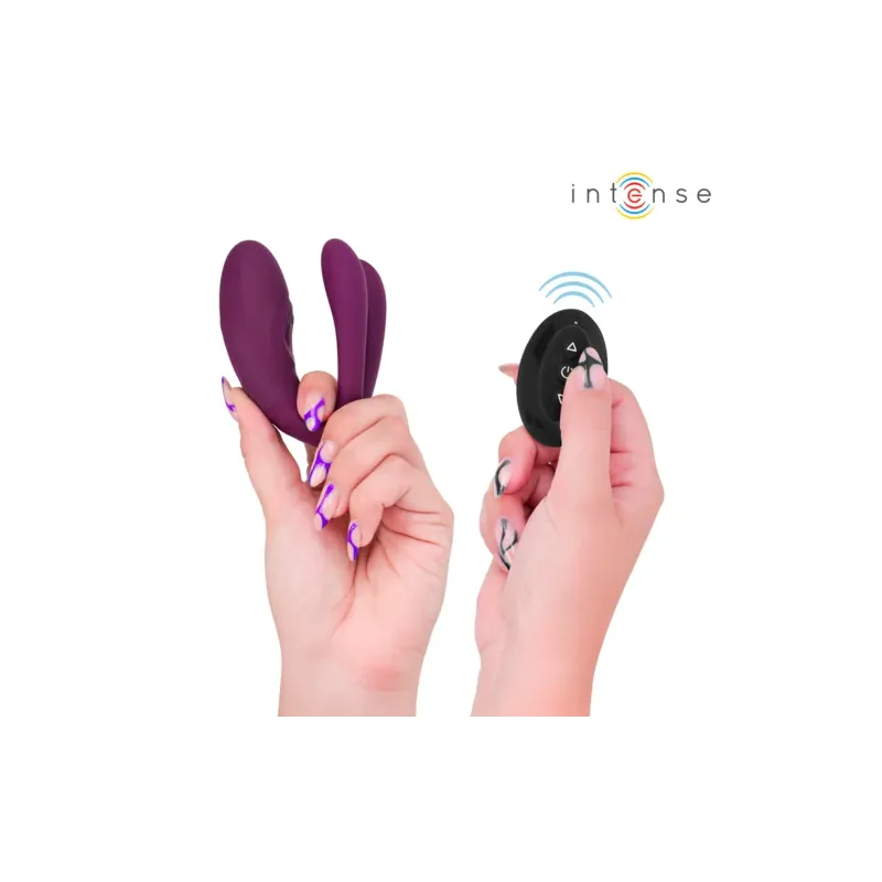 D-244819 INTENSE REMOTE CONTROL