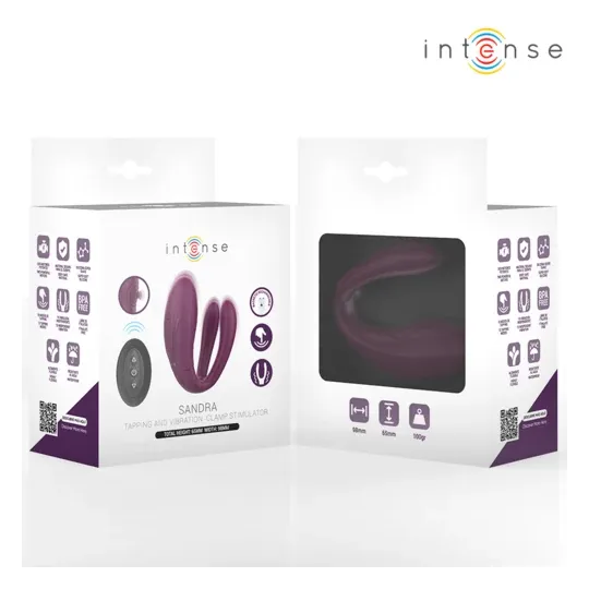 D-244819 INTENSE REMOTE CONTROL