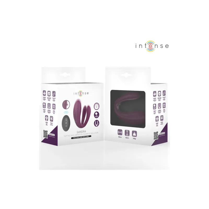 D-244819 INTENSE REMOTE CONTROL