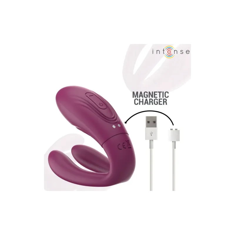 D-244819 INTENSE REMOTE CONTROL