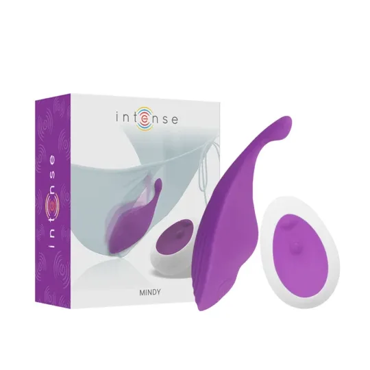 D-234359 INTENSE REMOTE CONTROL