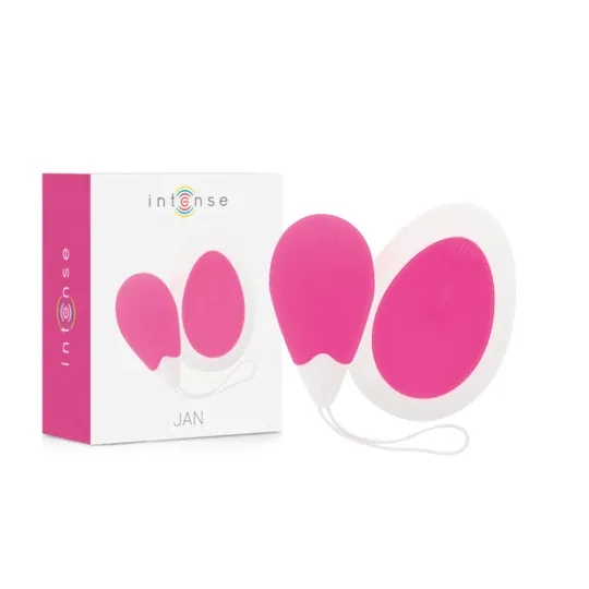 D-221060 INTENSE REMOTE CONTROL