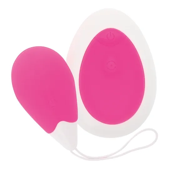 D-221060 INTENSE REMOTE CONTROL