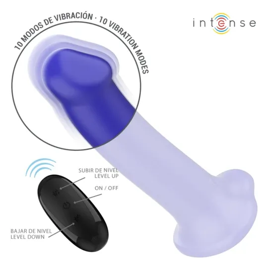 D-241982 INTENSE REMOTE CONTROL