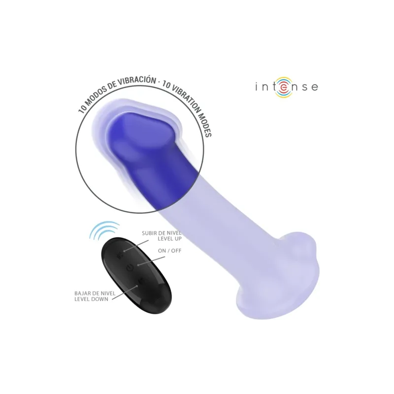 D-241982 INTENSE REMOTE CONTROL