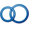 D-207305 JOYDIVISION POTENZDUO