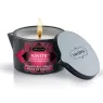 D-211219 KAMASUTRA  COSMETICS