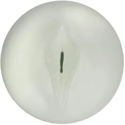 D-239842 KIIROO