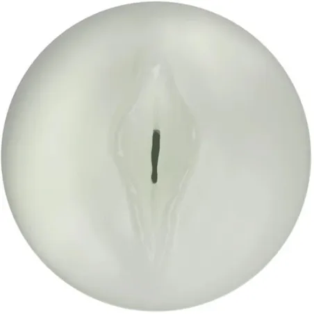 D-239842 KIIROO
