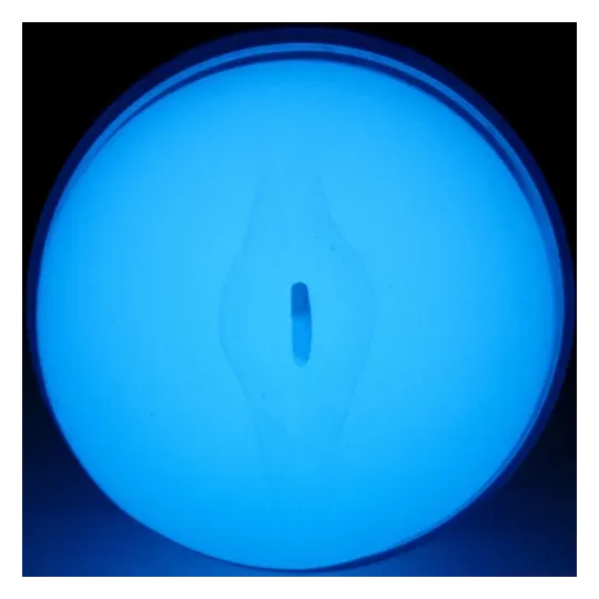 D-239842 KIIROO