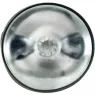 D-244644 KIIROO
