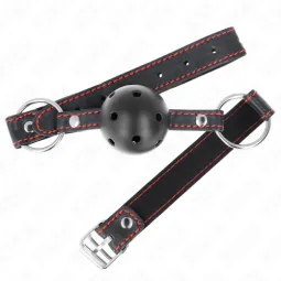 D-240841 KINK COLLAR & GAG
