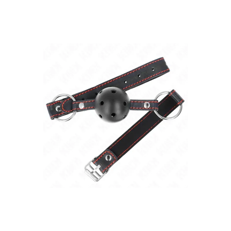 D-240841 KINK COLLAR & GAG