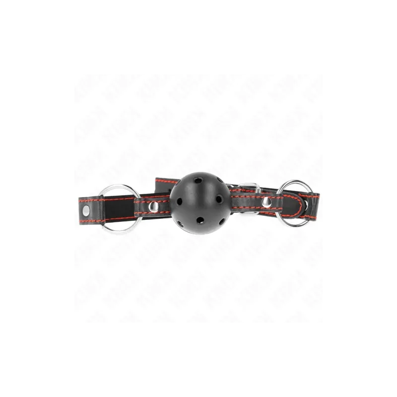 D-240841 KINK COLLAR & GAG