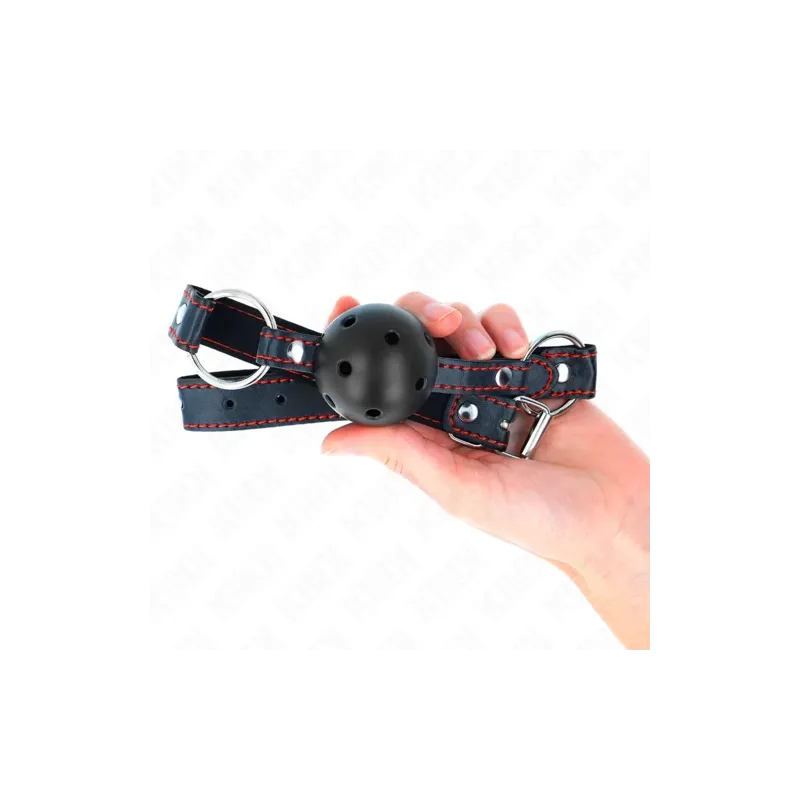 D-240841 KINK COLLAR & GAG
