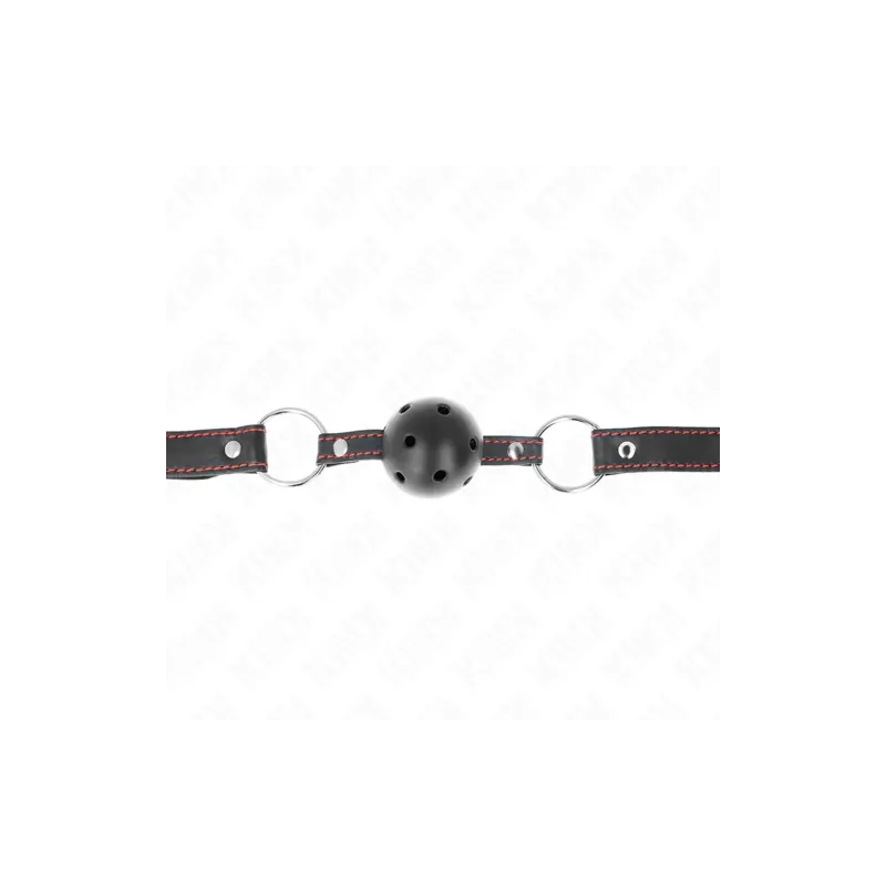 D-240841 KINK COLLAR & GAG