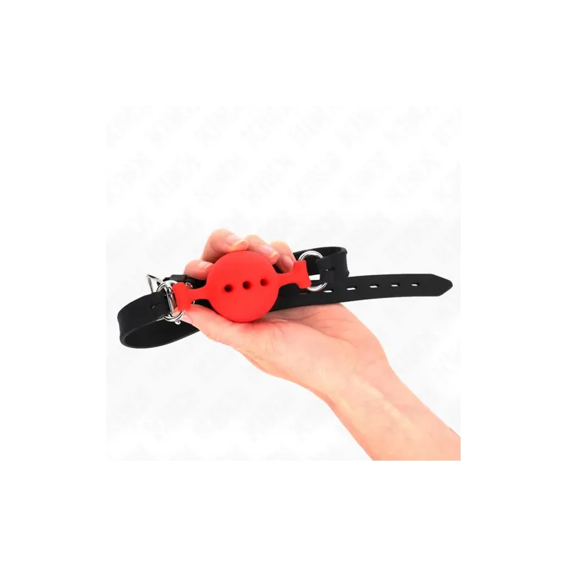 D-240818 KINK COLLAR & GAG