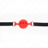D-240818 KINK COLLAR & GAG