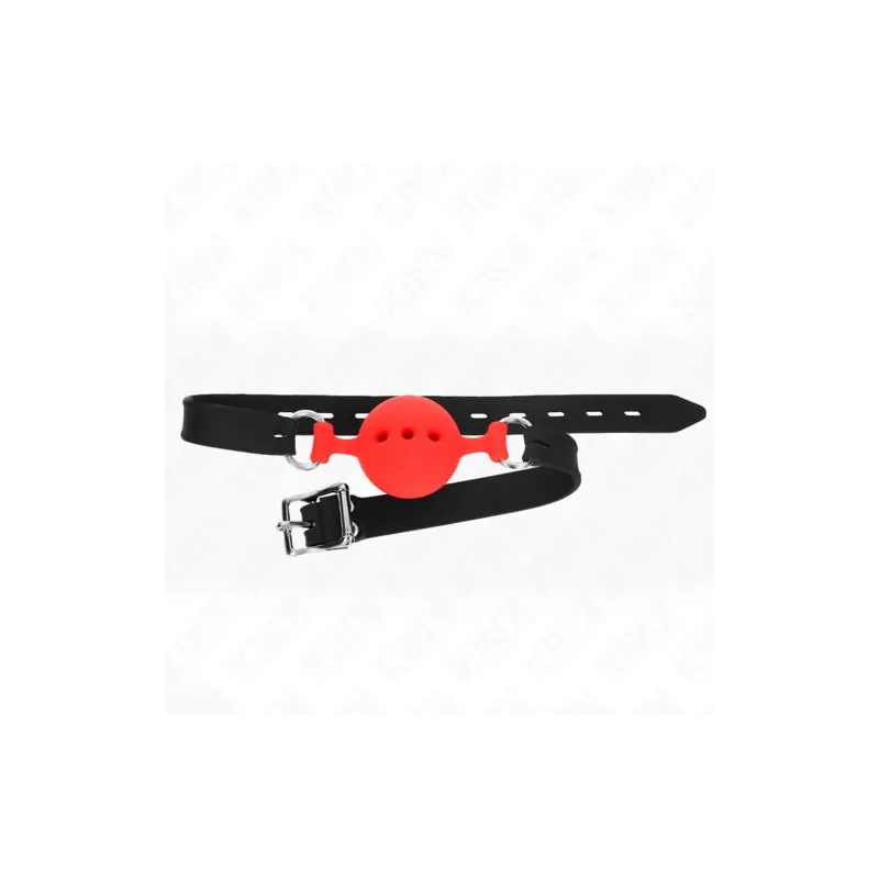 D-240818 KINK COLLAR & GAG