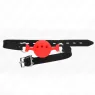 D-240818 KINK COLLAR & GAG