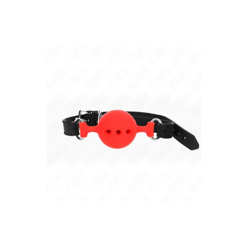 D-240818 KINK COLLAR & GAG