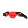 D-240818 KINK COLLAR & GAG