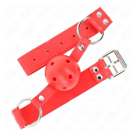 D-240839 KINK COLLAR & GAG