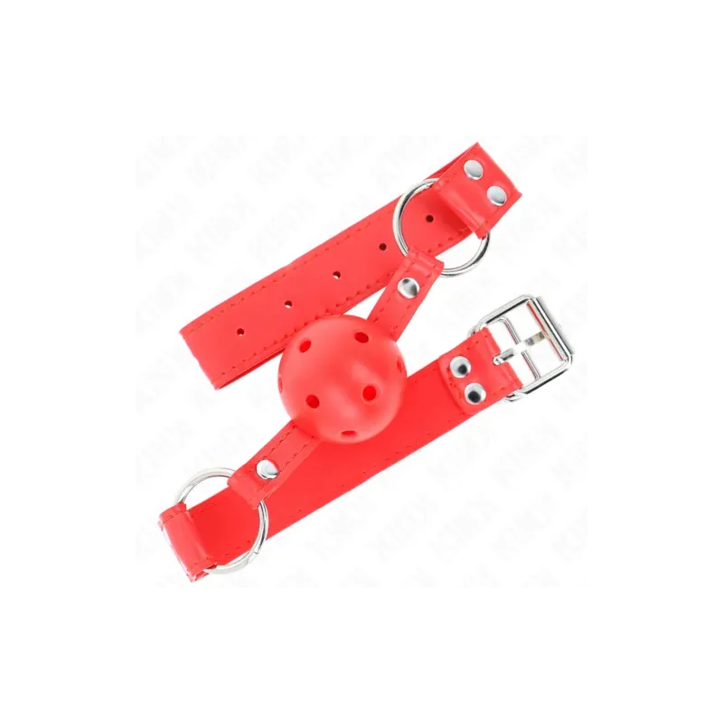 D-240839 KINK COLLAR & GAG