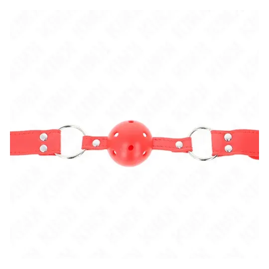 D-240839 KINK COLLAR & GAG