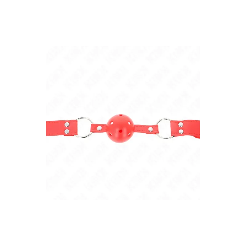D-240839 KINK COLLAR & GAG