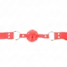 D-240839 KINK COLLAR & GAG