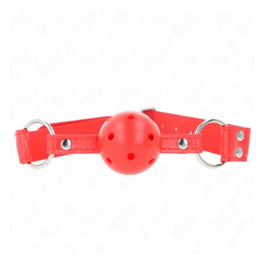 D-240839 KINK COLLAR & GAG