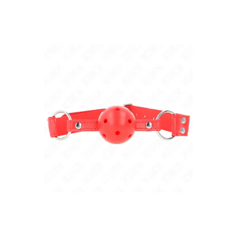 D-240839 KINK COLLAR & GAG