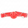 D-240839 KINK COLLAR & GAG