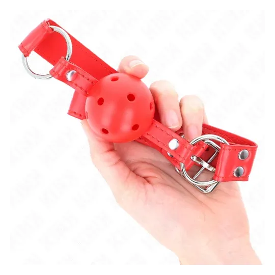 D-240839 KINK COLLAR & GAG